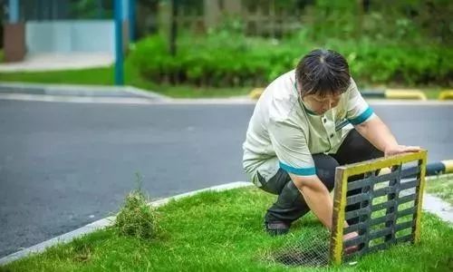 小区保洁服务规范 从基础到优化的全流程指南