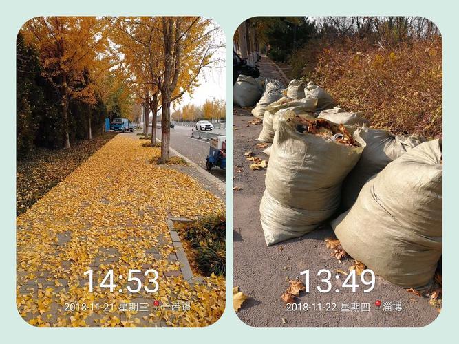 淄博分公司:加强保洁力度,全面做好迎检工作